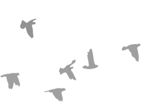 dearest someday… logo